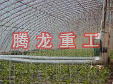 大棚花卉供暖設備、大棚卉采暖設備、大棚花卉取暖設備